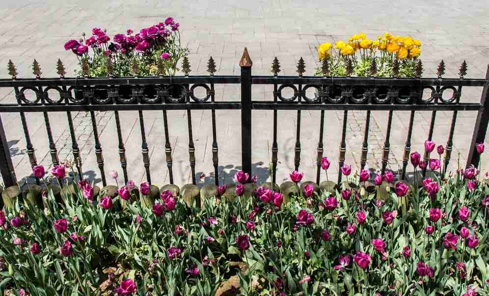 Garden Edging With Fences (2)